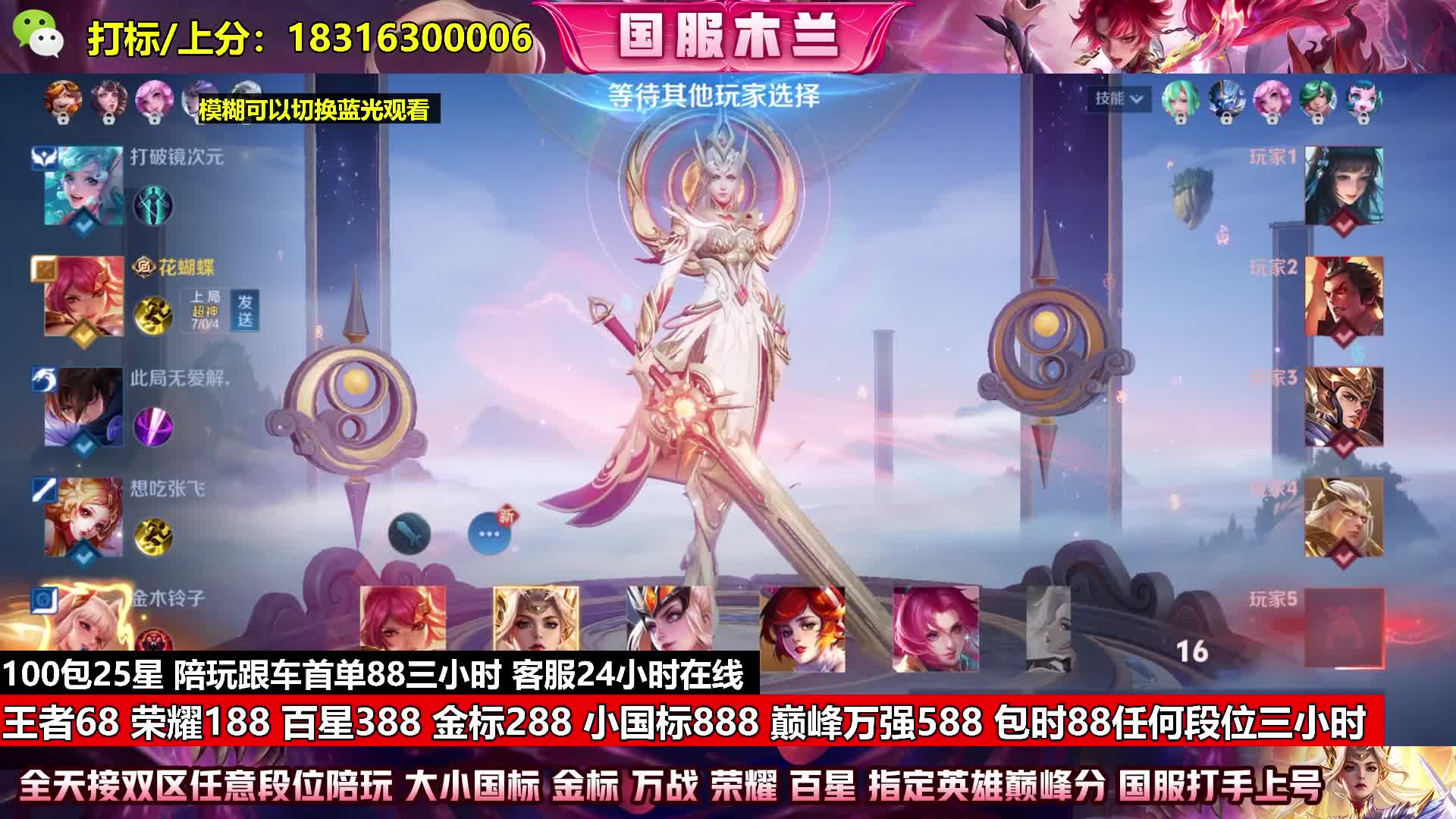 金标288王者88