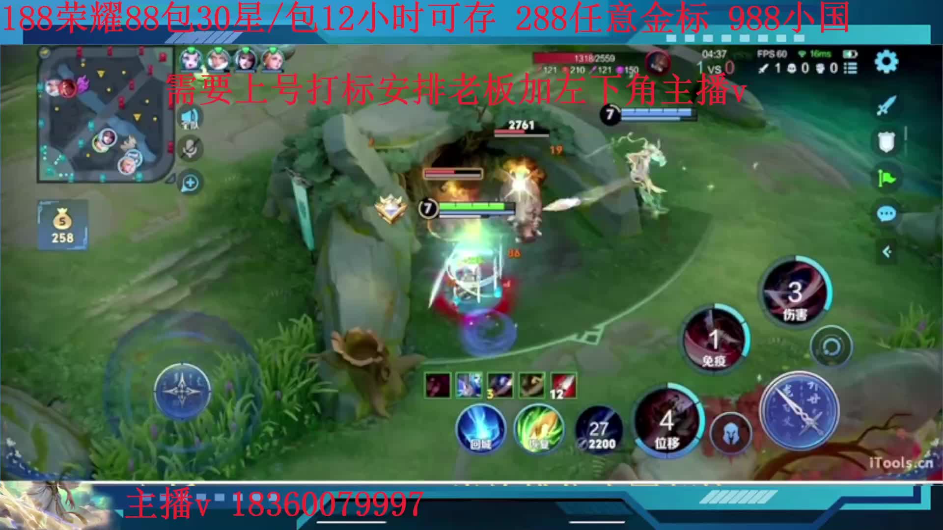 88包30星288金标988小国