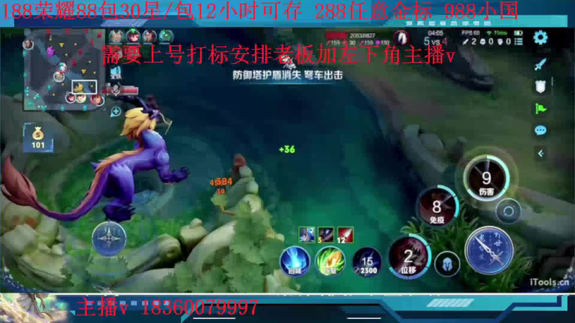 88包30星288金标988小国