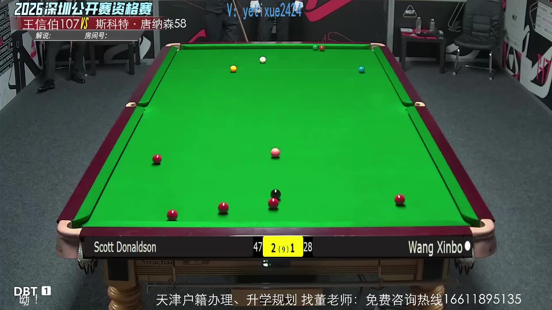 小马哥斯诺克直播