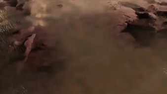 林花河溪游黑神話：悟空直播_林花河溪游視頻直播 - 虎牙直播