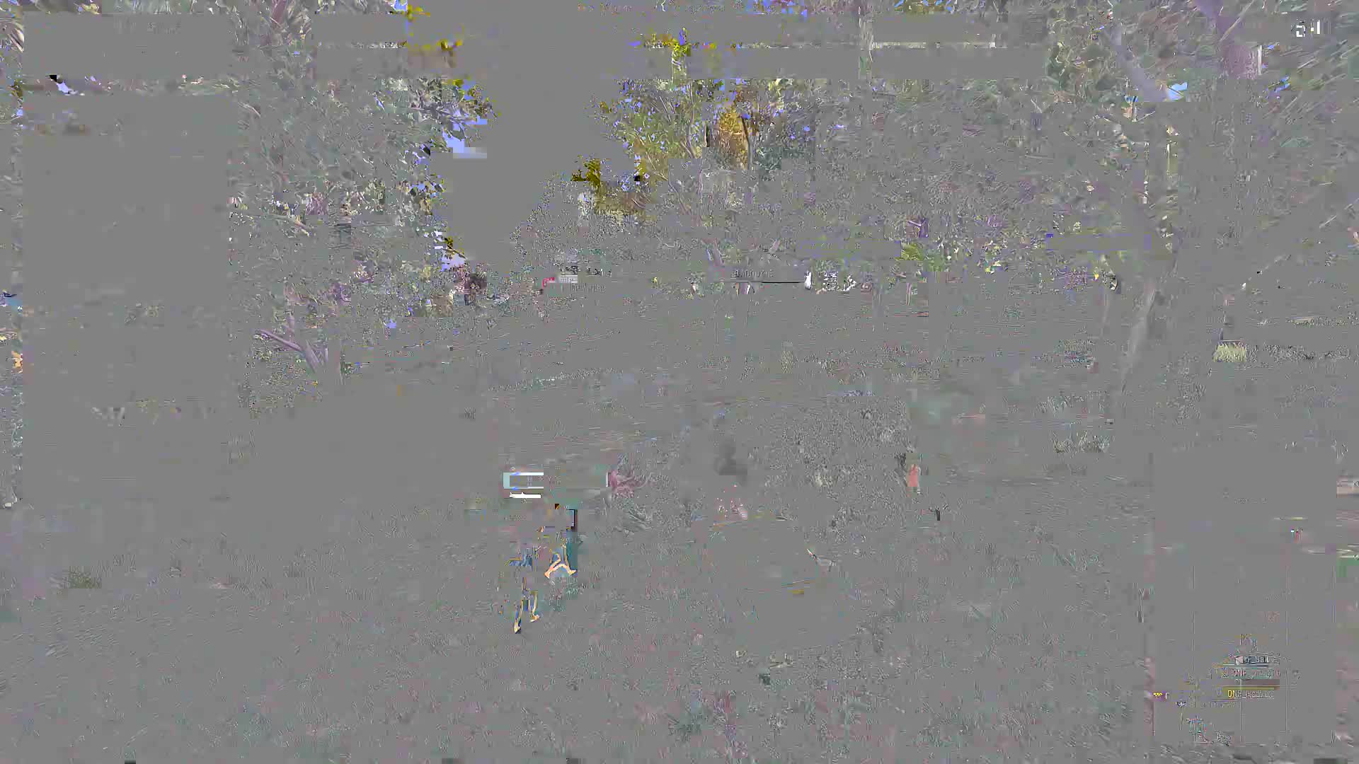 艾斯同你观看Rain第一视角