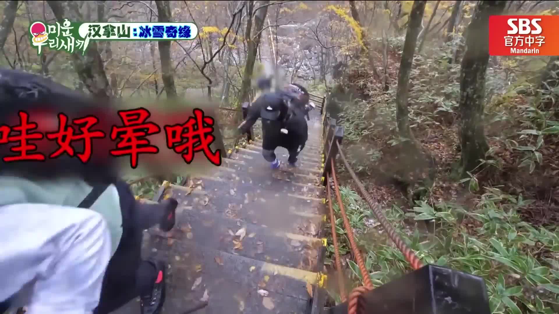 韩综我家的熊孩子