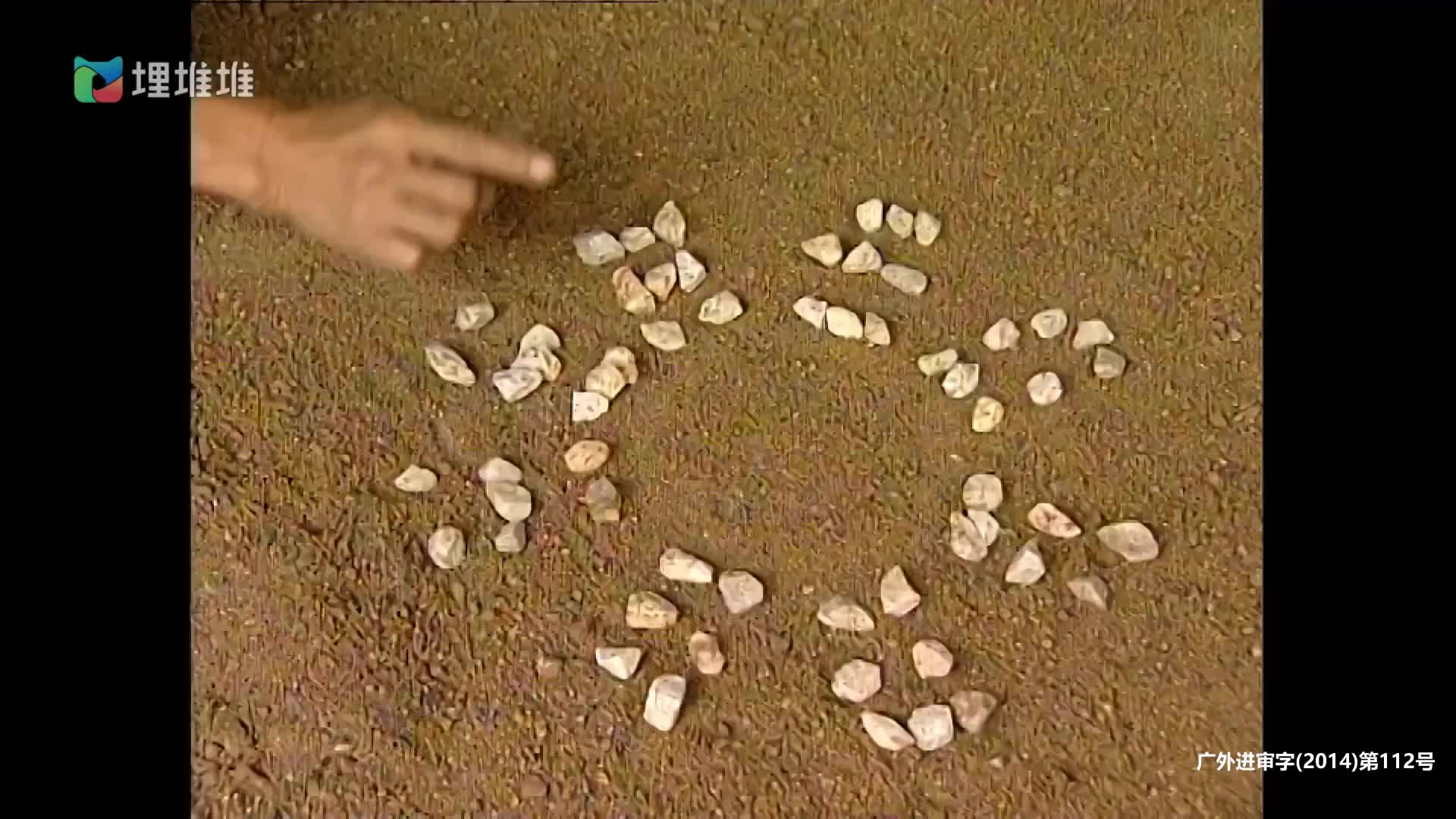 [寻秦记] 跨越千年的爱恋与冒险