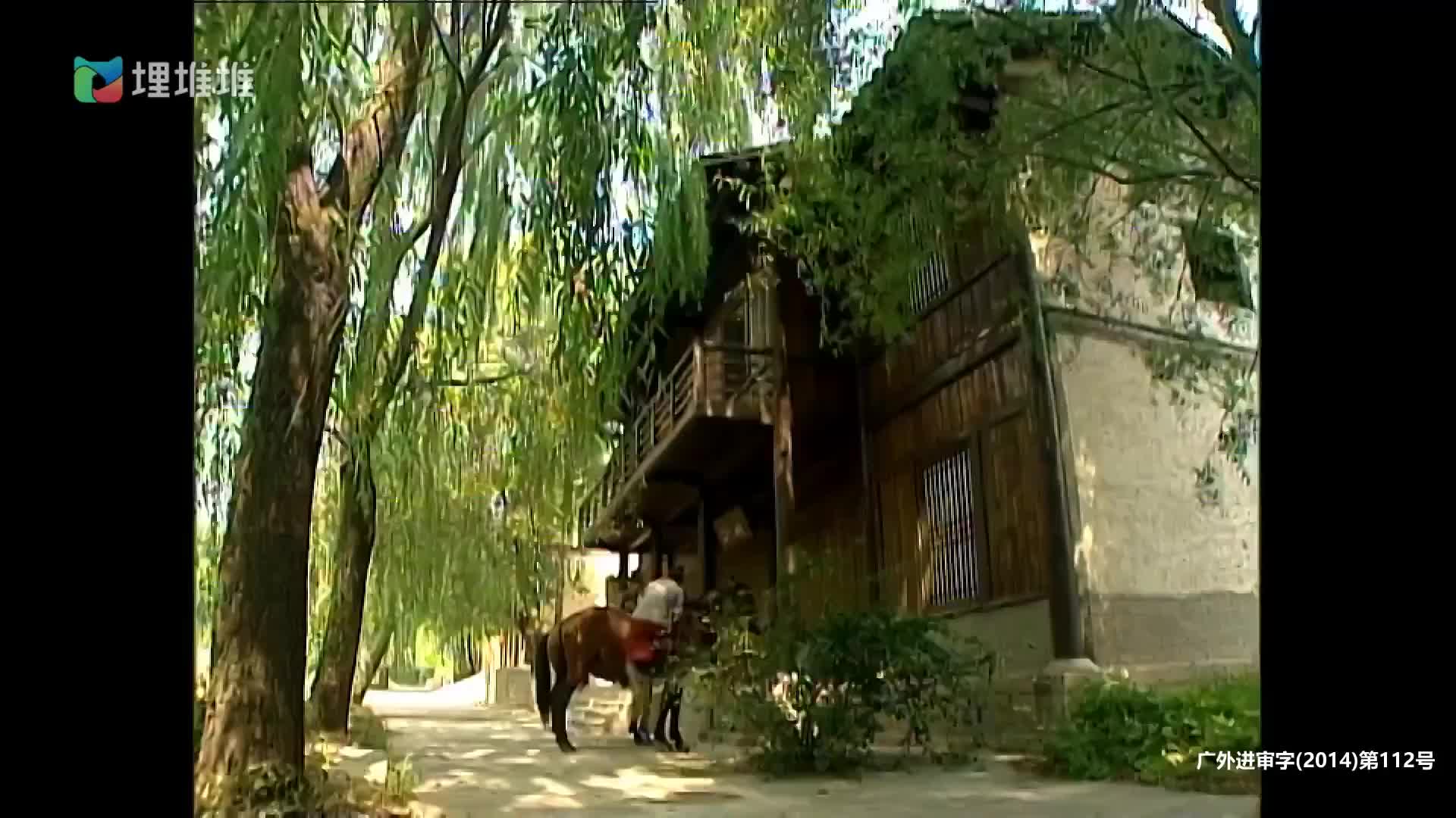 [寻秦记] 跨越千年的爱恋与冒险