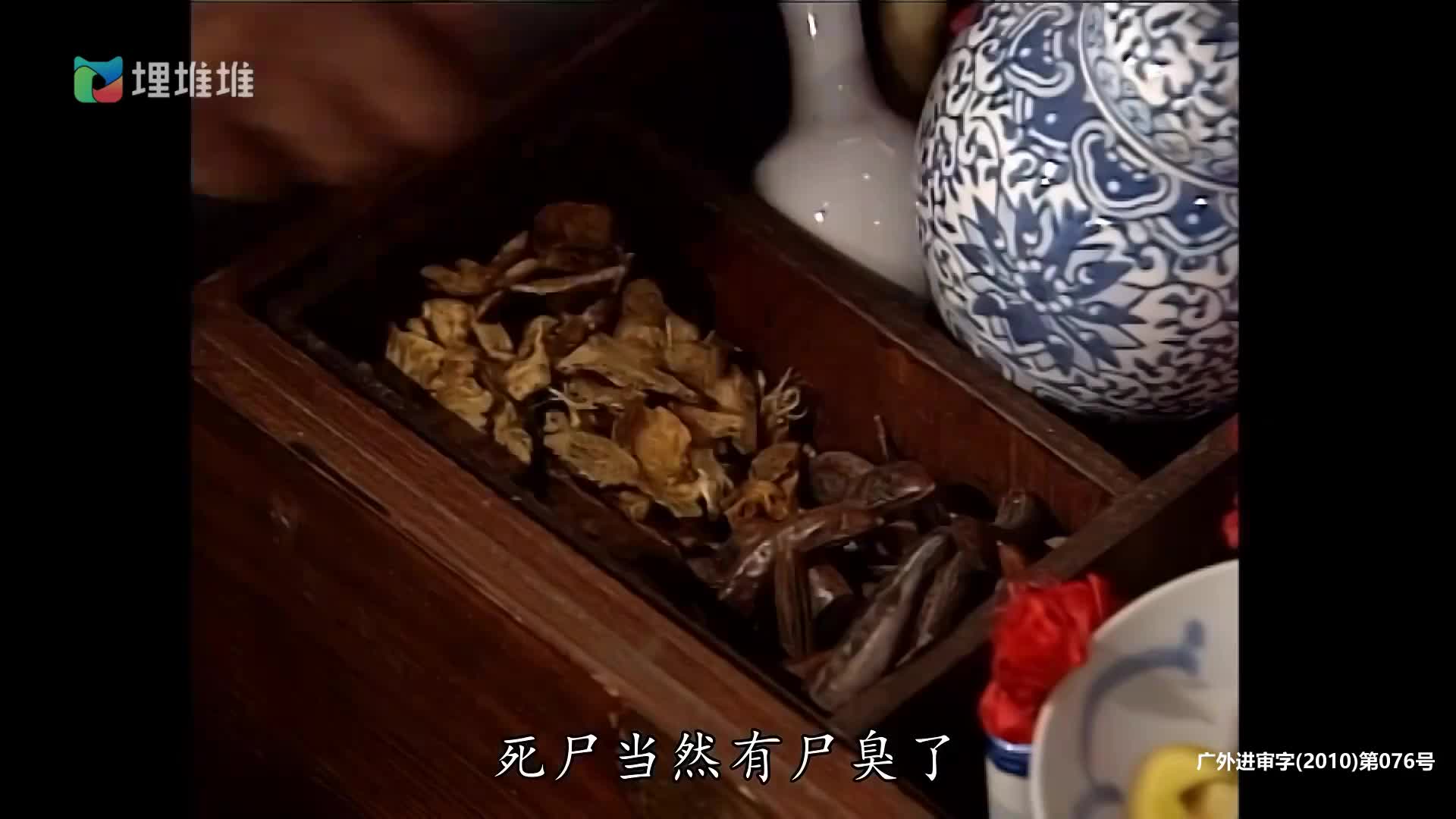 [洗冤录] 解开每一具尸体的未了之愿