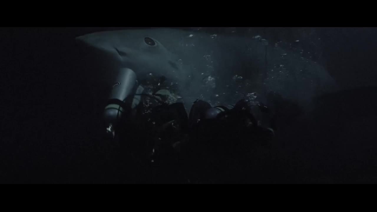 大白鲨系列-炙烤大鲨鱼