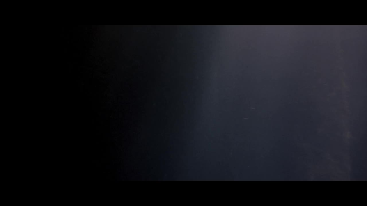 大白鲨系列-炙烤大鲨鱼