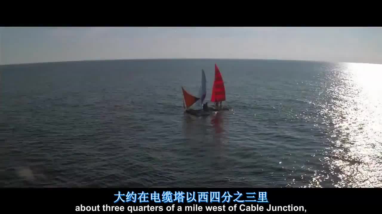 大白鲨系列-炙烤大鲨鱼