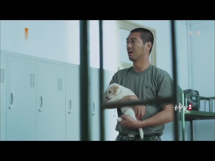 人犬共谱的军旅喜剧