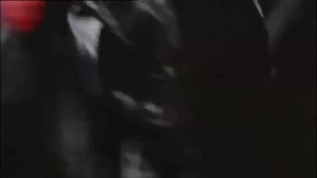 飞虎雄鹰 阿sir好型