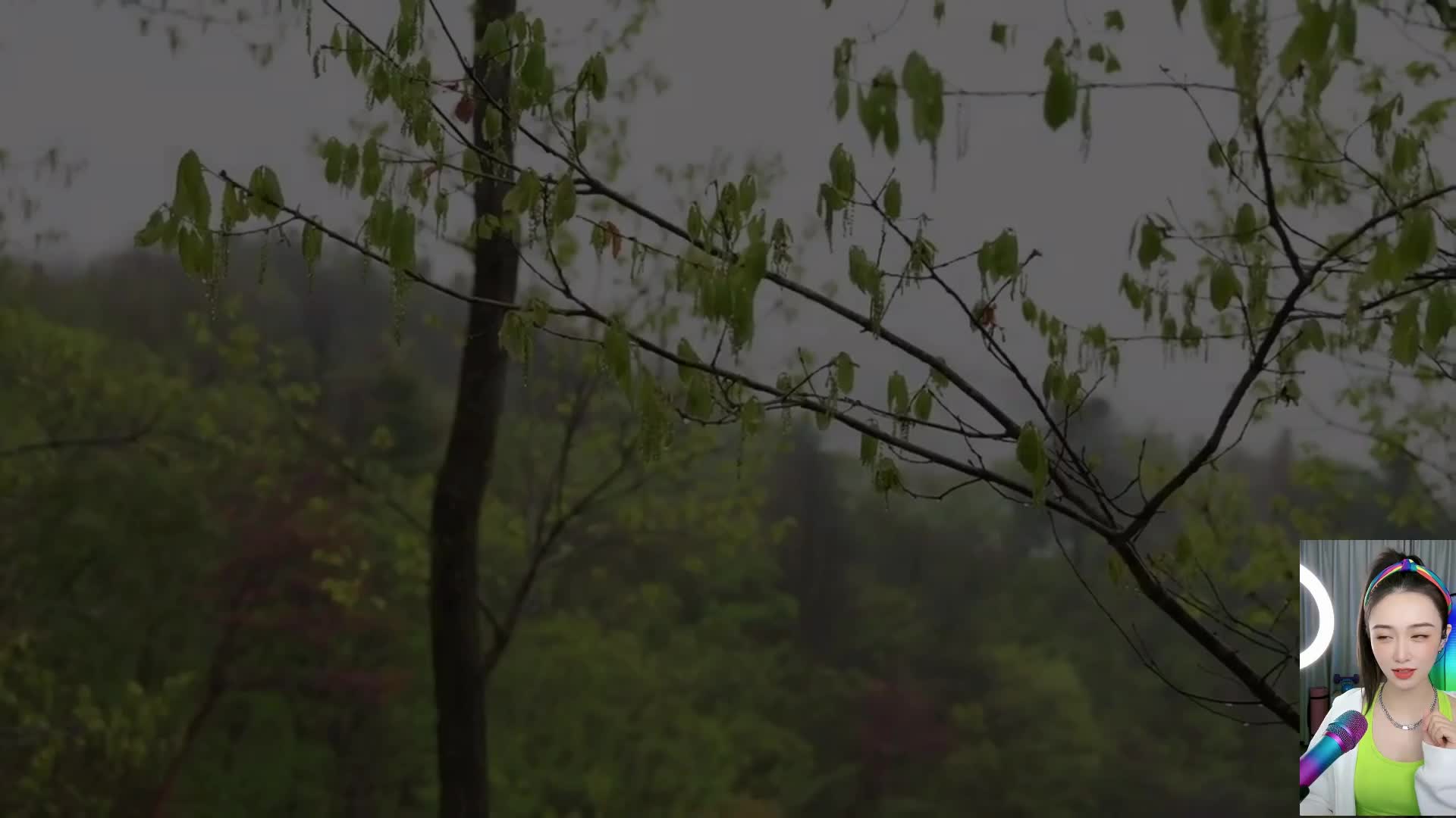 天水慢直播的直播间