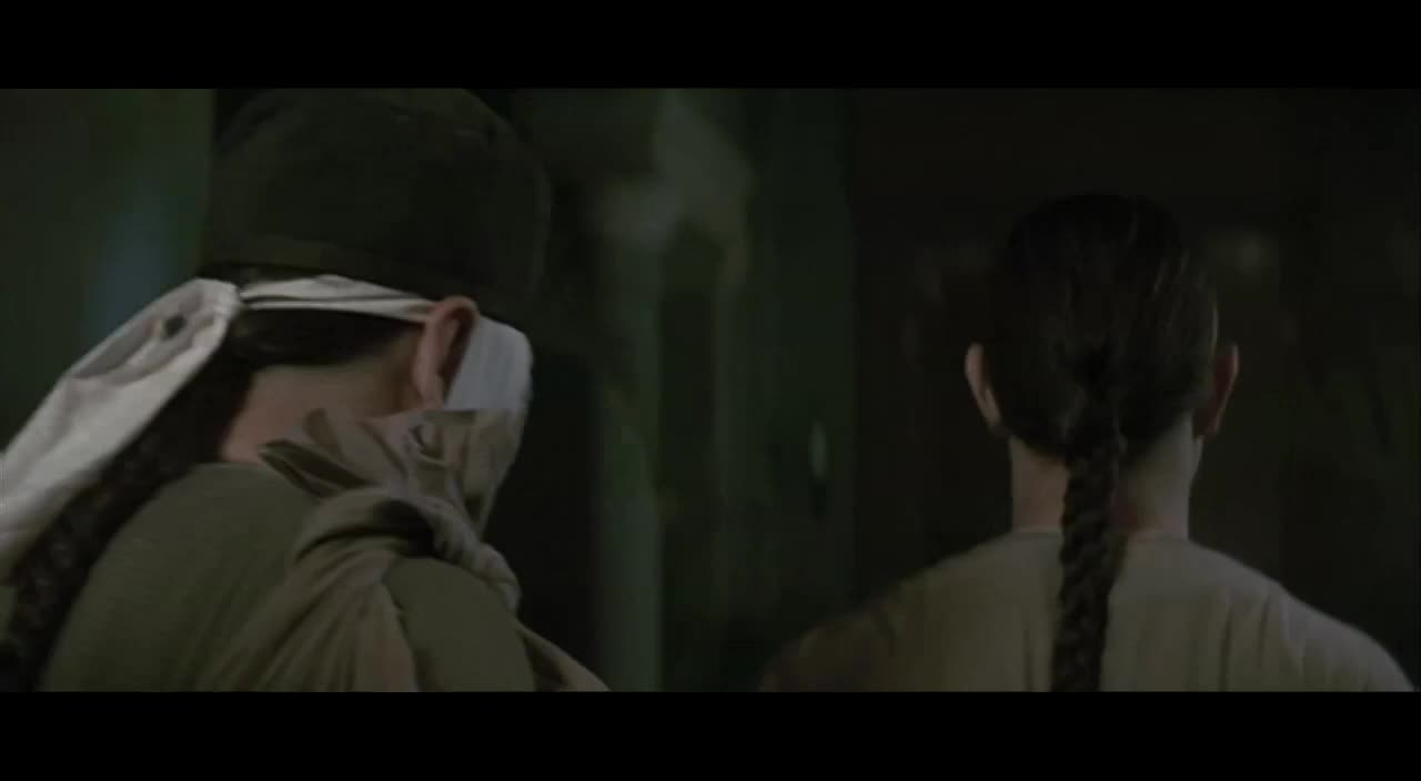 古装武侠电影 方世玉黄飞鸿