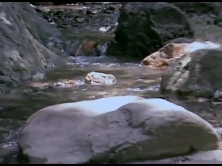 鞋儿破，帽儿破，身上的袈裟破