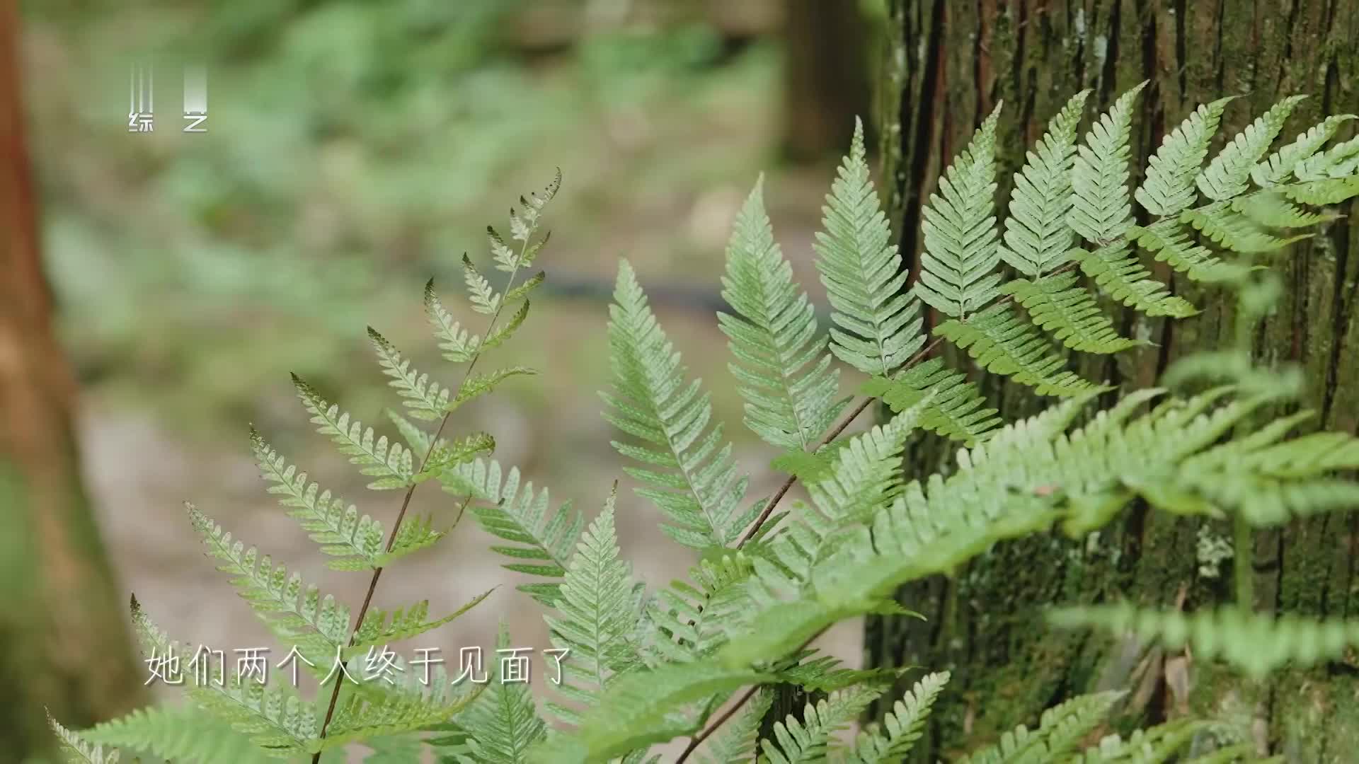没钱没时间旅游？在家就游遍中国了！