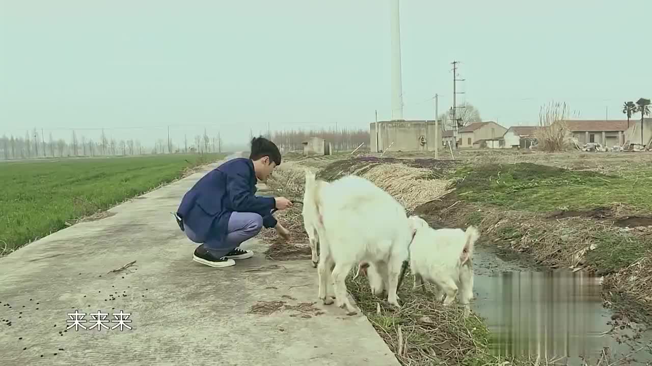 是真男人就来挑战极限！