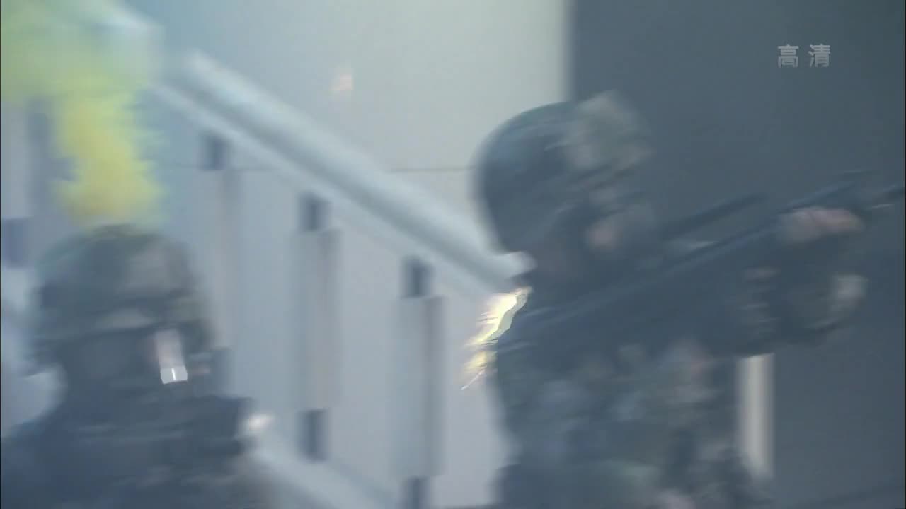 特种兵之火凤凰: 女特种兵也很强！
