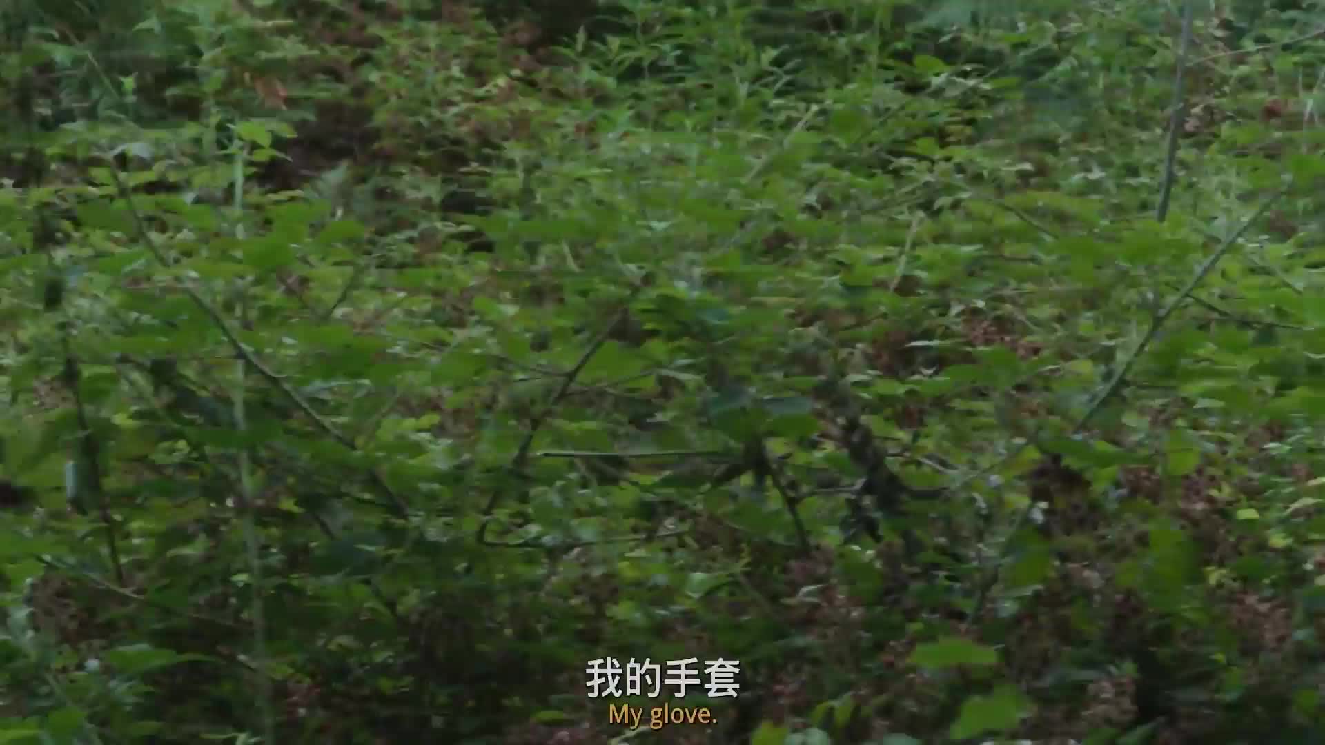 洛基是如何改变命运的