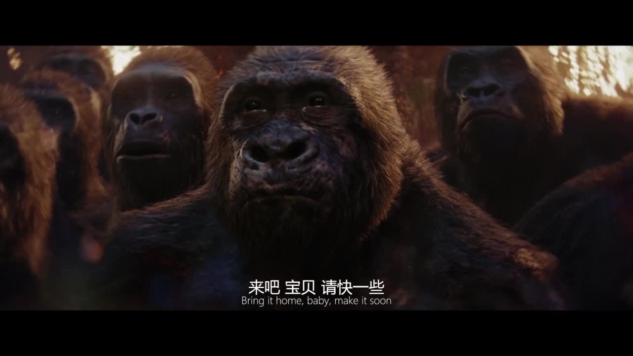 怪兽宇宙电影！哥斯拉大战金刚