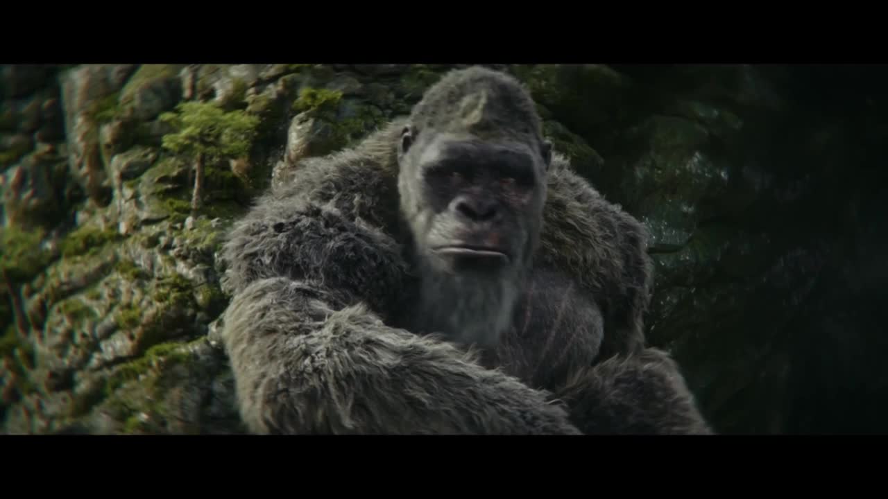 怪兽宇宙电影！哥斯拉大战金刚