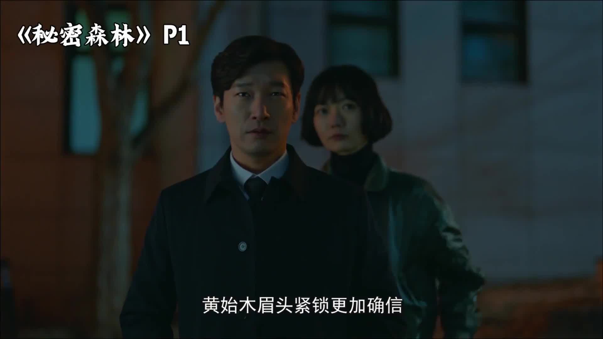 剧TOP：韩国反腐神剧！豆瓣9.3高分剧《秘密森林》P1
