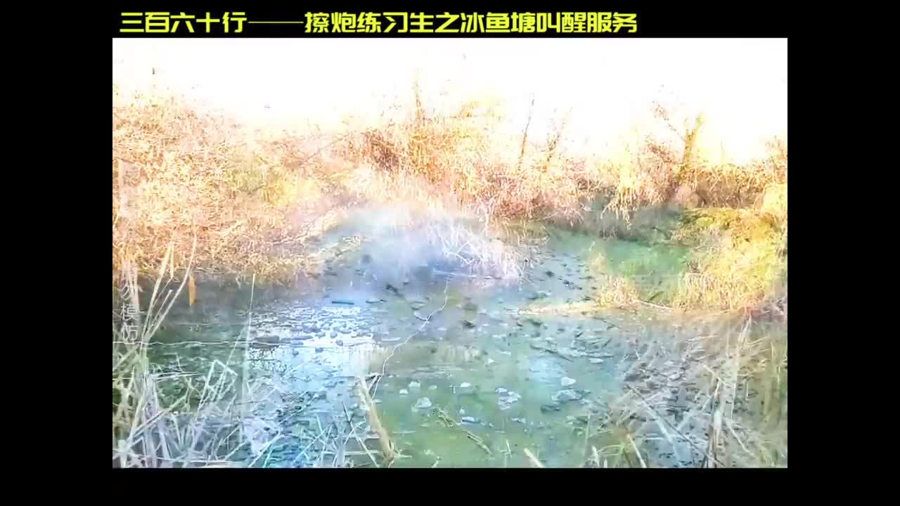 白日烟火也可以很好看！天空为画布，将烟火玩成艺术的烟花第一人