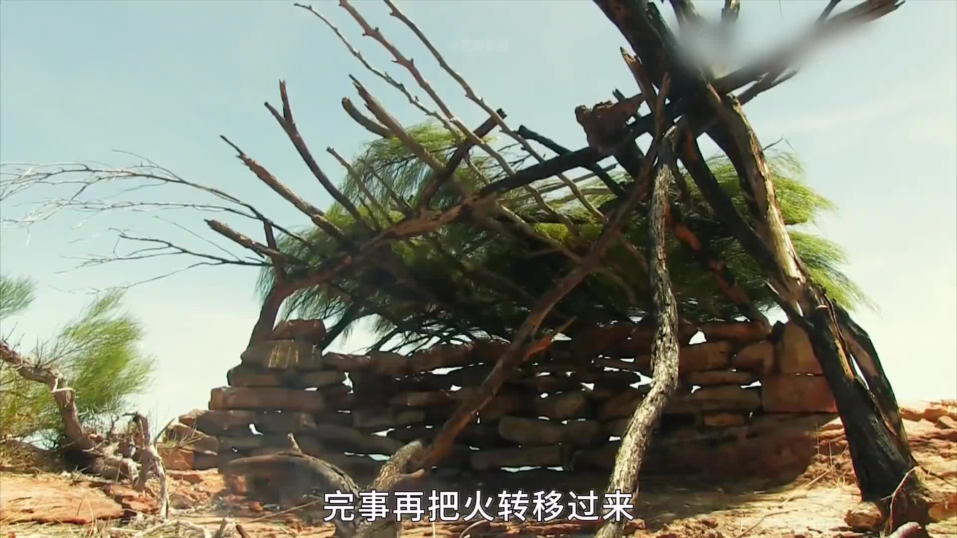 10人蒙古荒野求生，陷阱抓杰瑞、路亚钓河鳟、桦树皮做窝棚大门