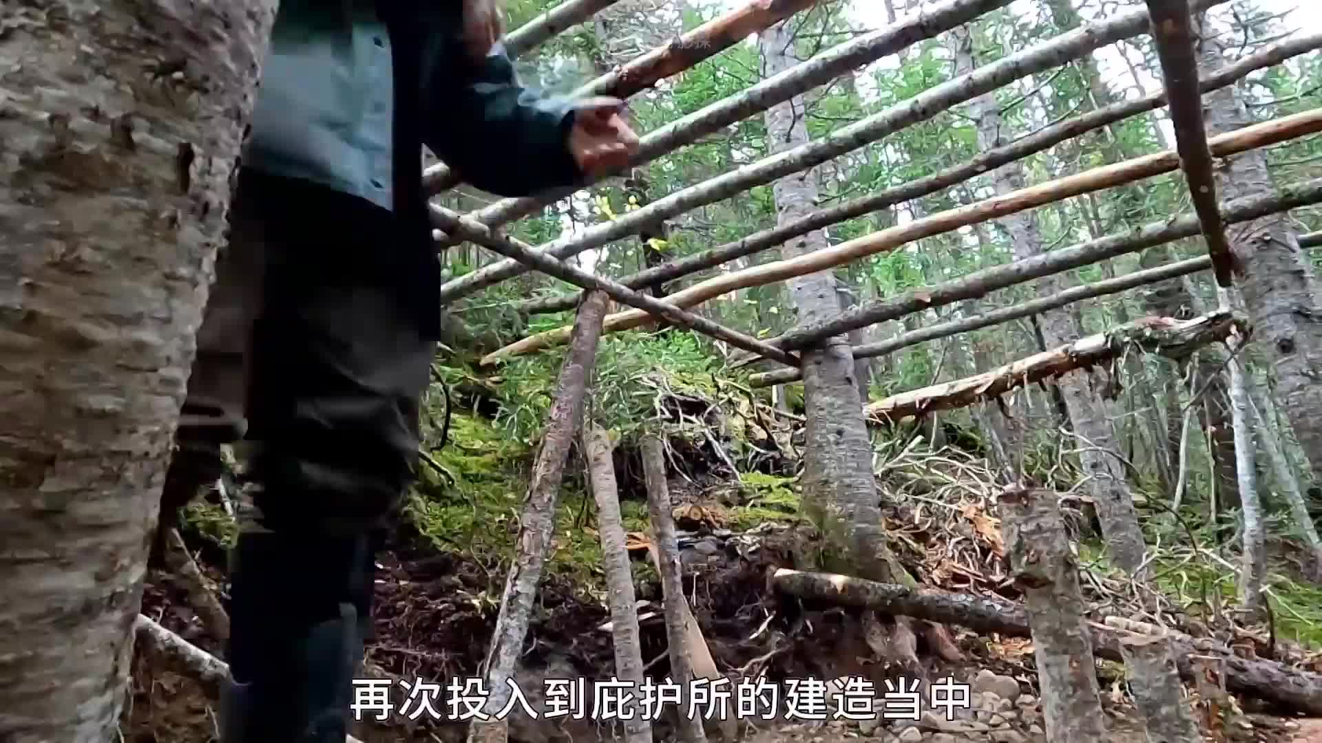 10人蒙古荒野求生，陷阱抓杰瑞、路亚钓河鳟、桦树皮做窝棚大门
