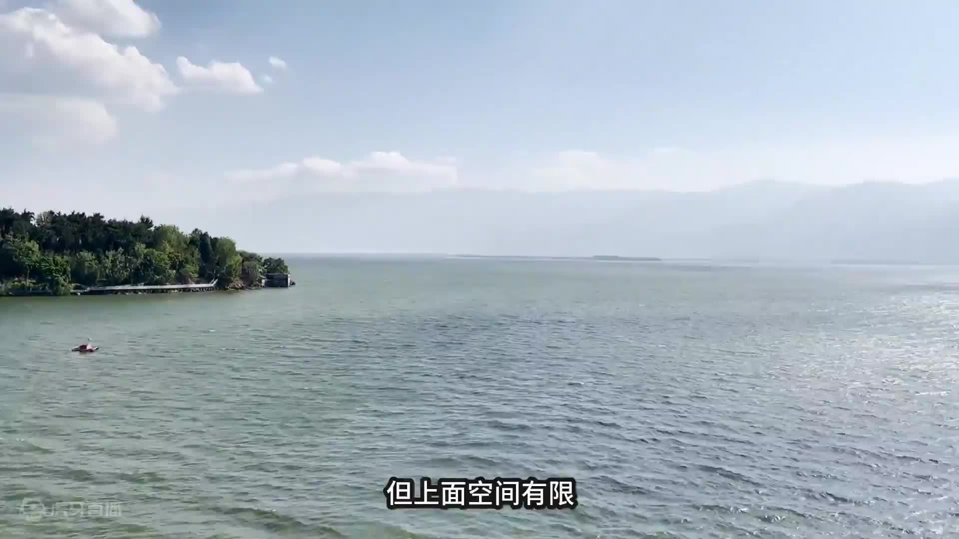 黄渤演技巅峰！国产荒诞喜剧《杀生》