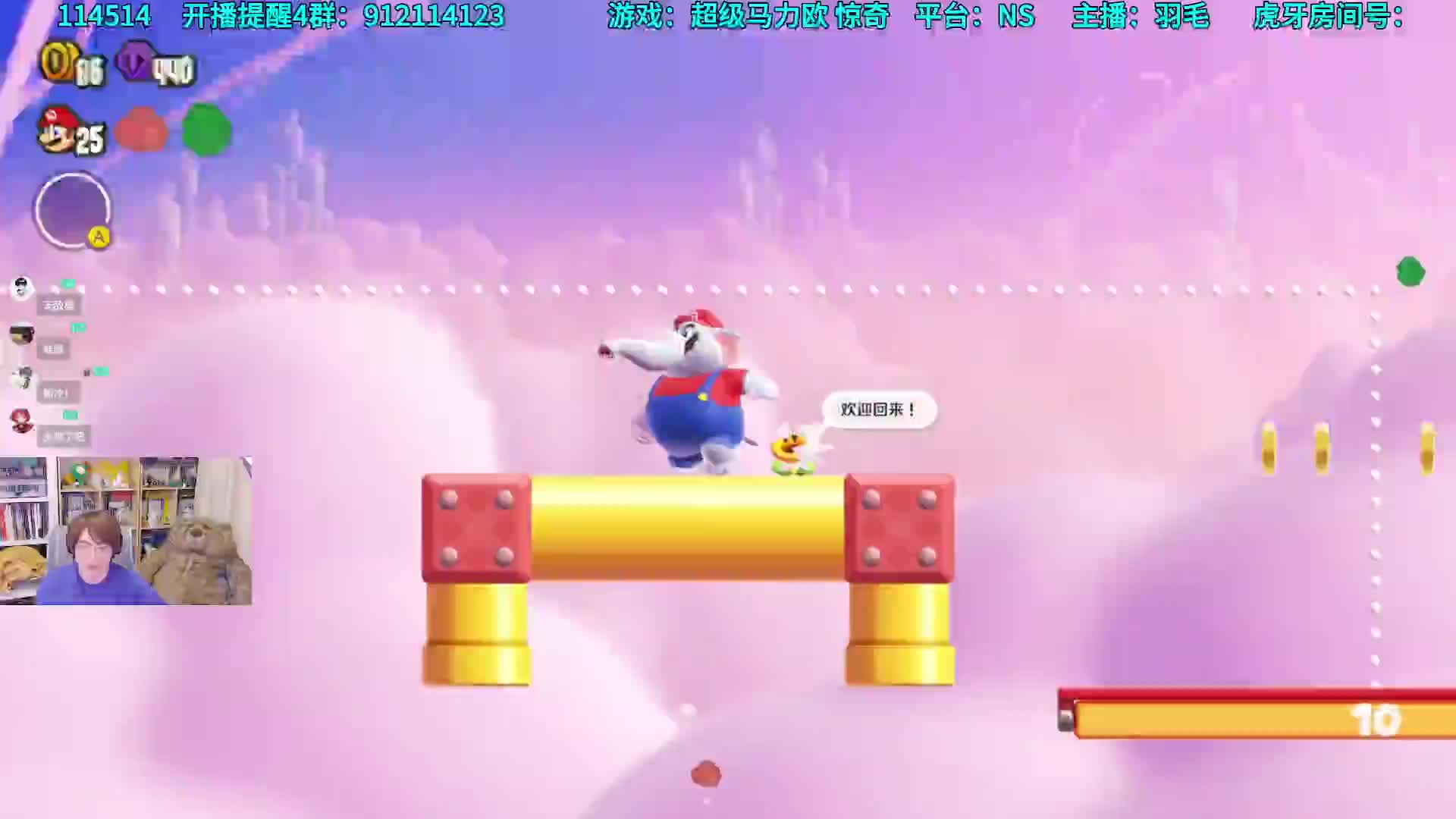 《超级马力欧：惊奇》全收集向开荒流程