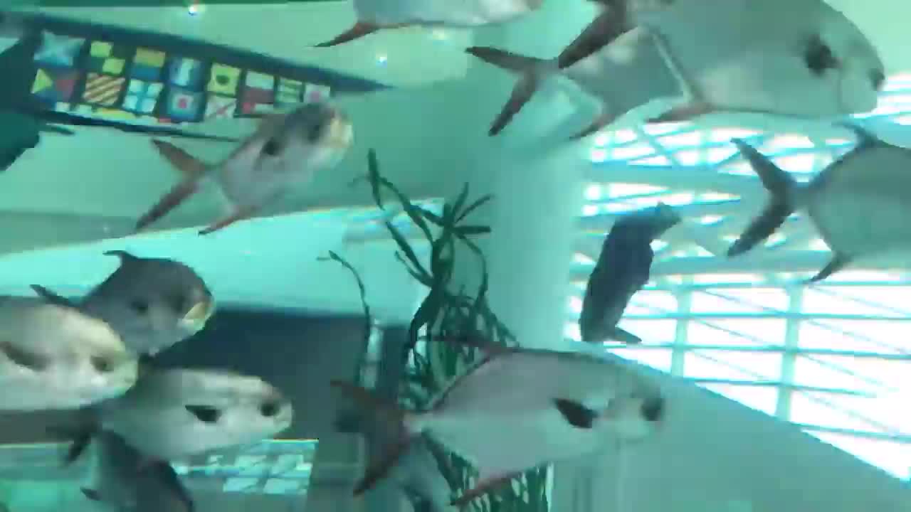 天天健姐姐