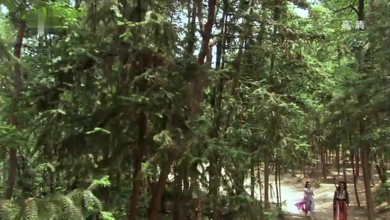 天涯明月刀 武林风云