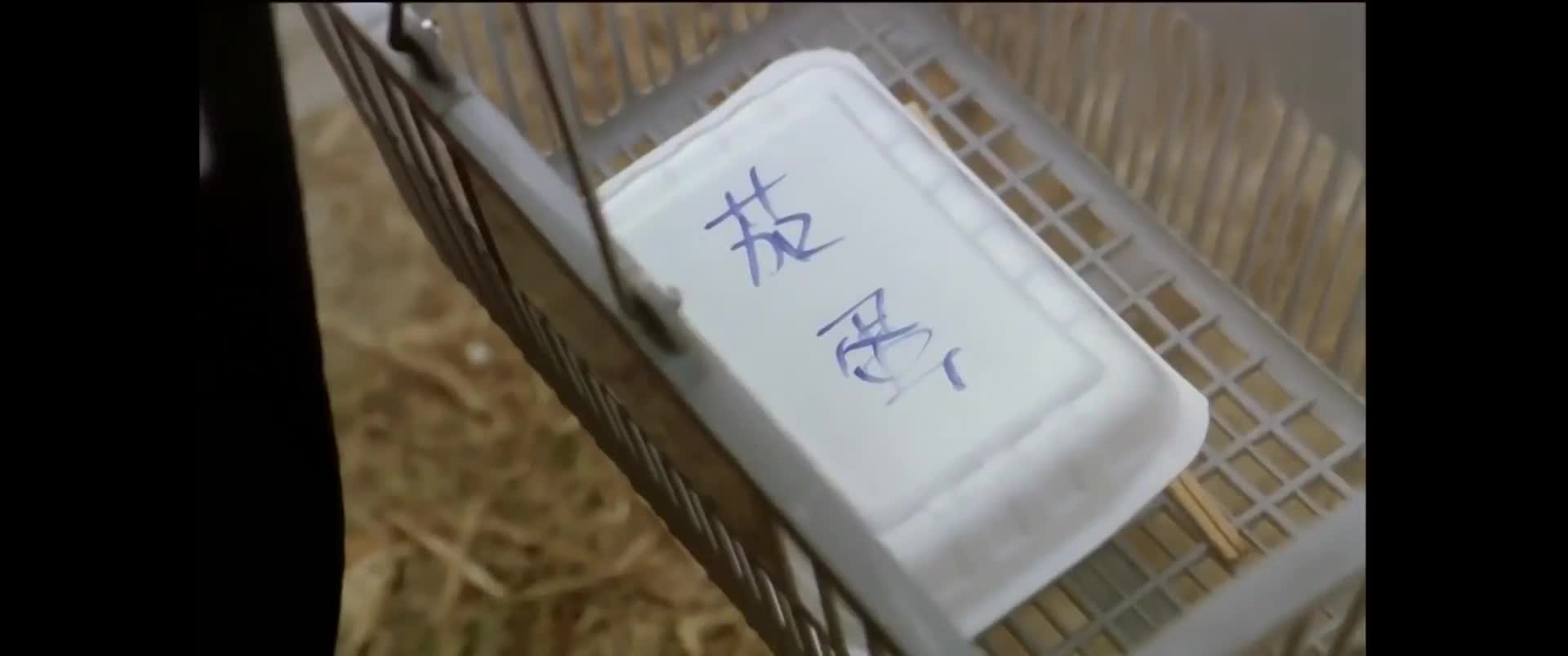 笑到岔气！来拯救你的不开心~