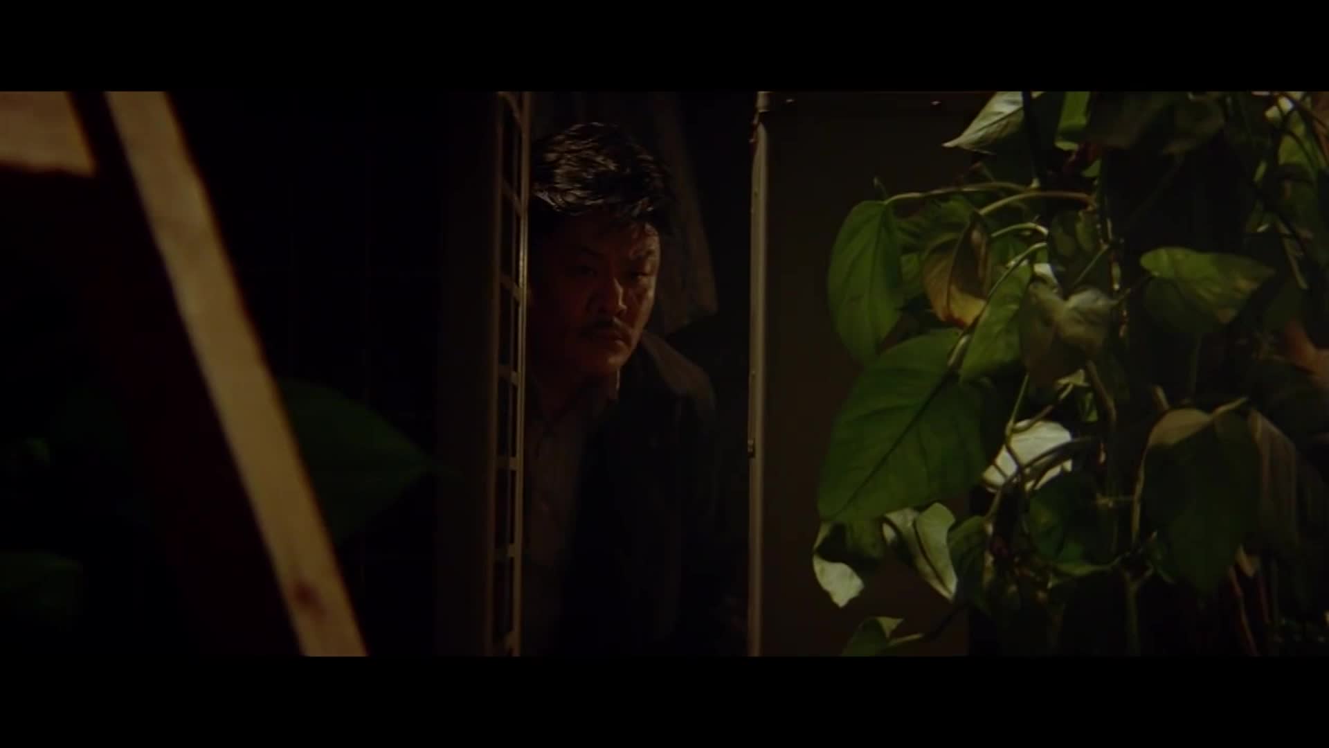 无形之手 银河映像宿命论之夜