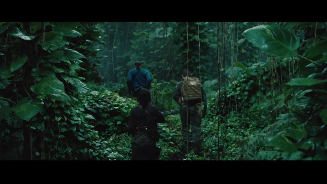 异形 VS 铁血战士