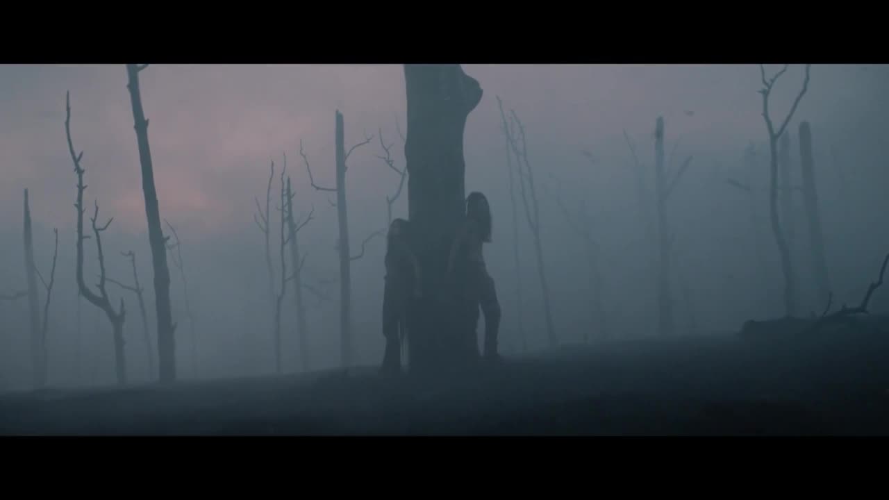 异形 VS 铁血战士