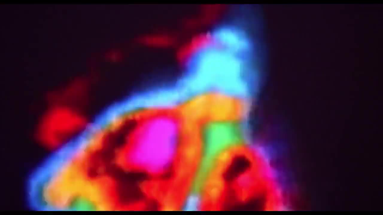 异形 VS 铁血战士