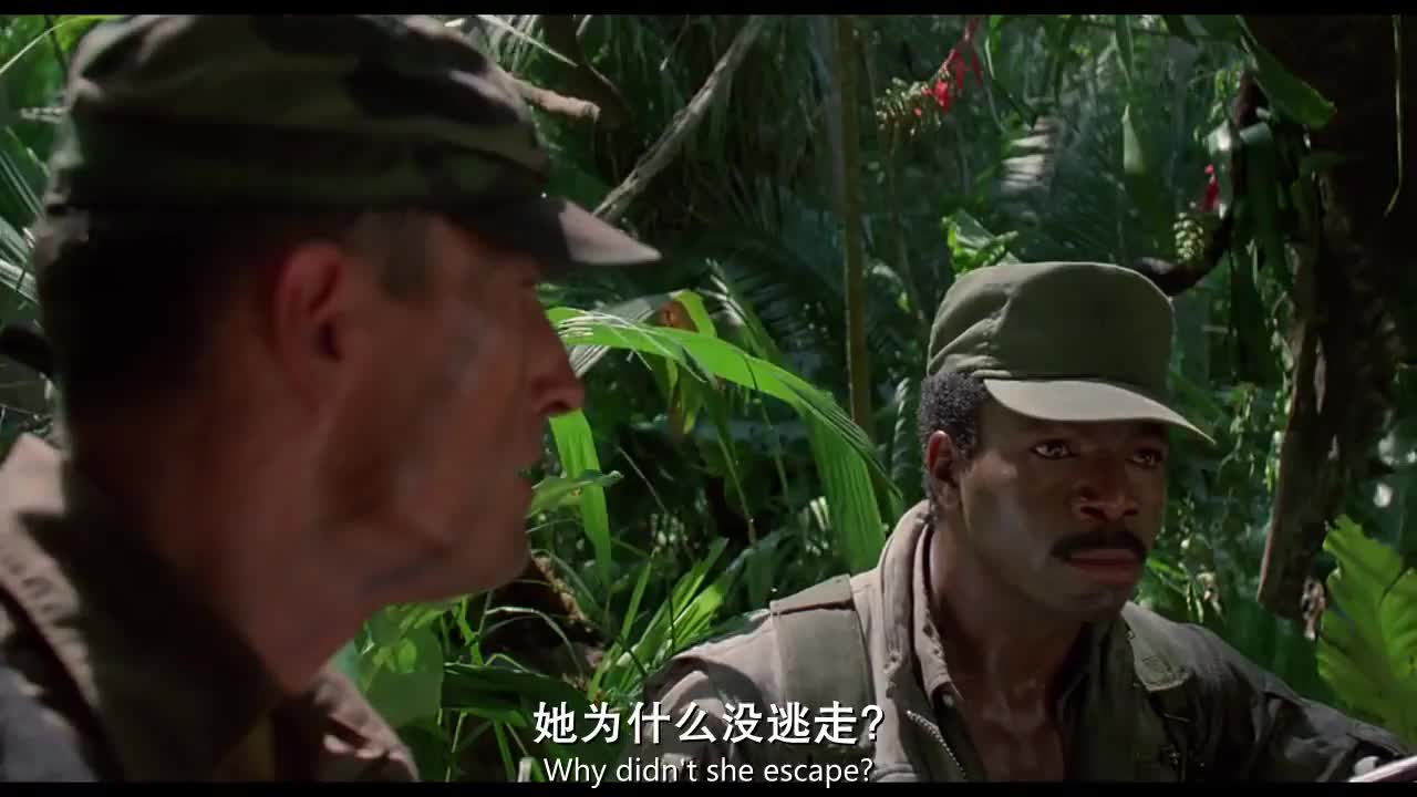 异形 VS 铁血战士