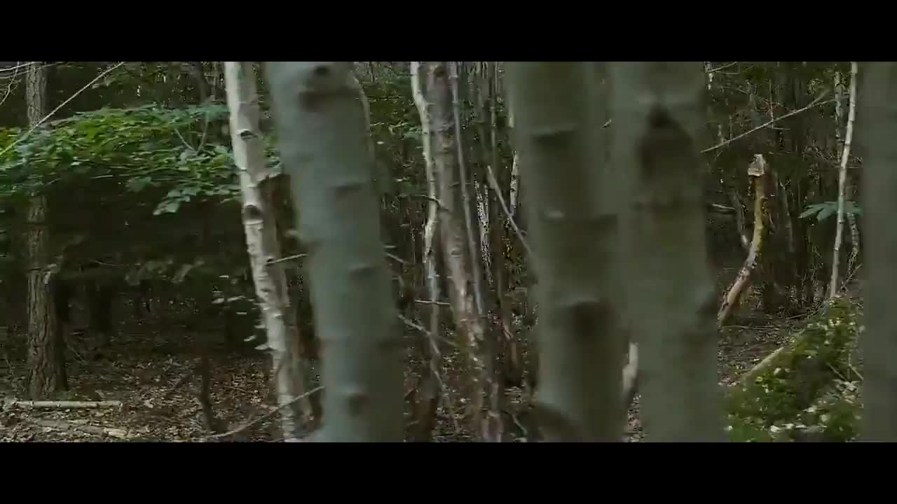hentai一览 连环sha手