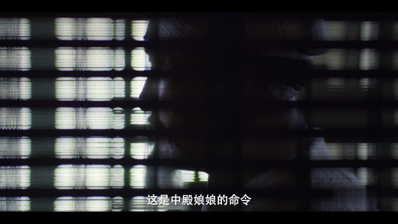 这届丧尸跑得太快了8 