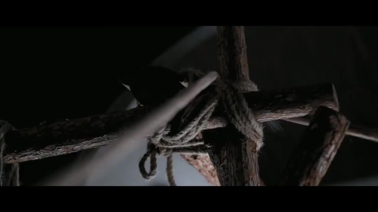 狄仁杰系列电影，悬疑烧脑的探案故事