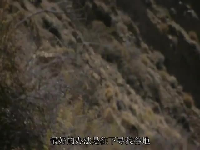 [荒野求生] 跟着贝爷去探险！