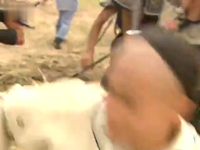那年看[还珠格格]的你,现在还好吗?
