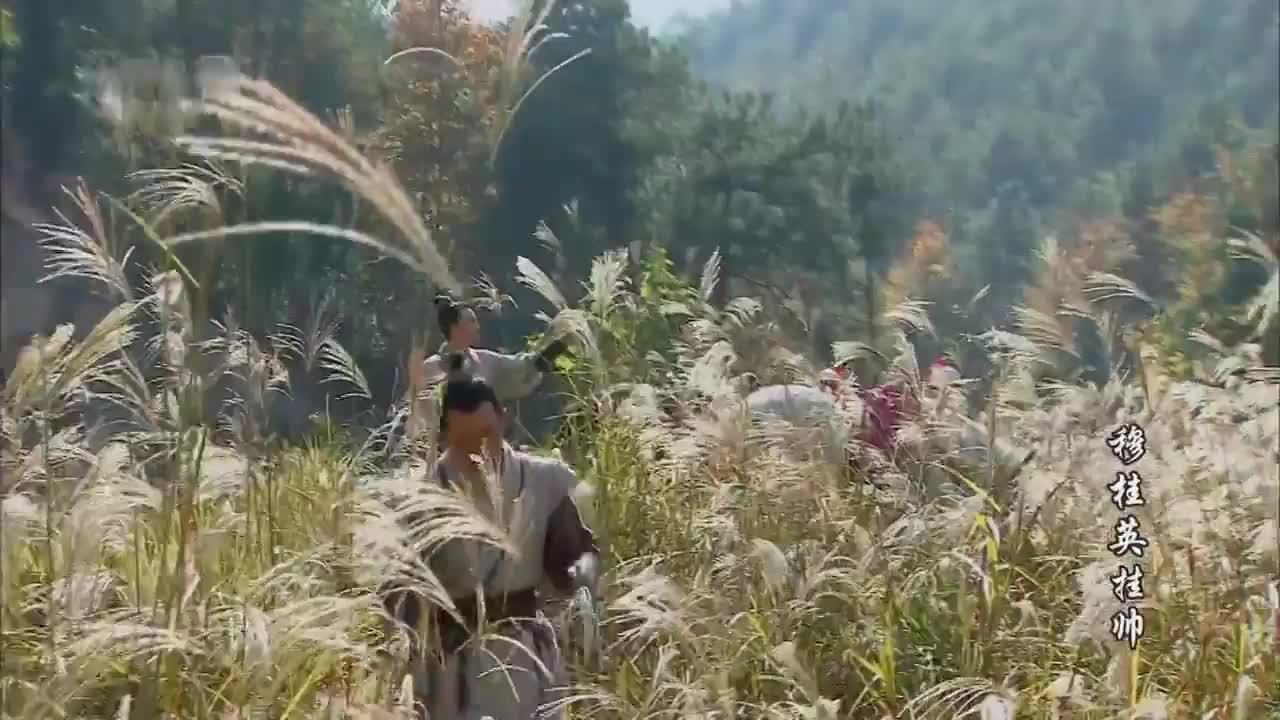 童年经典 [穆桂英挂帅]