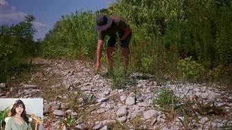 森林美食戶外直播_森林美食視頻直播 - 虎牙直播