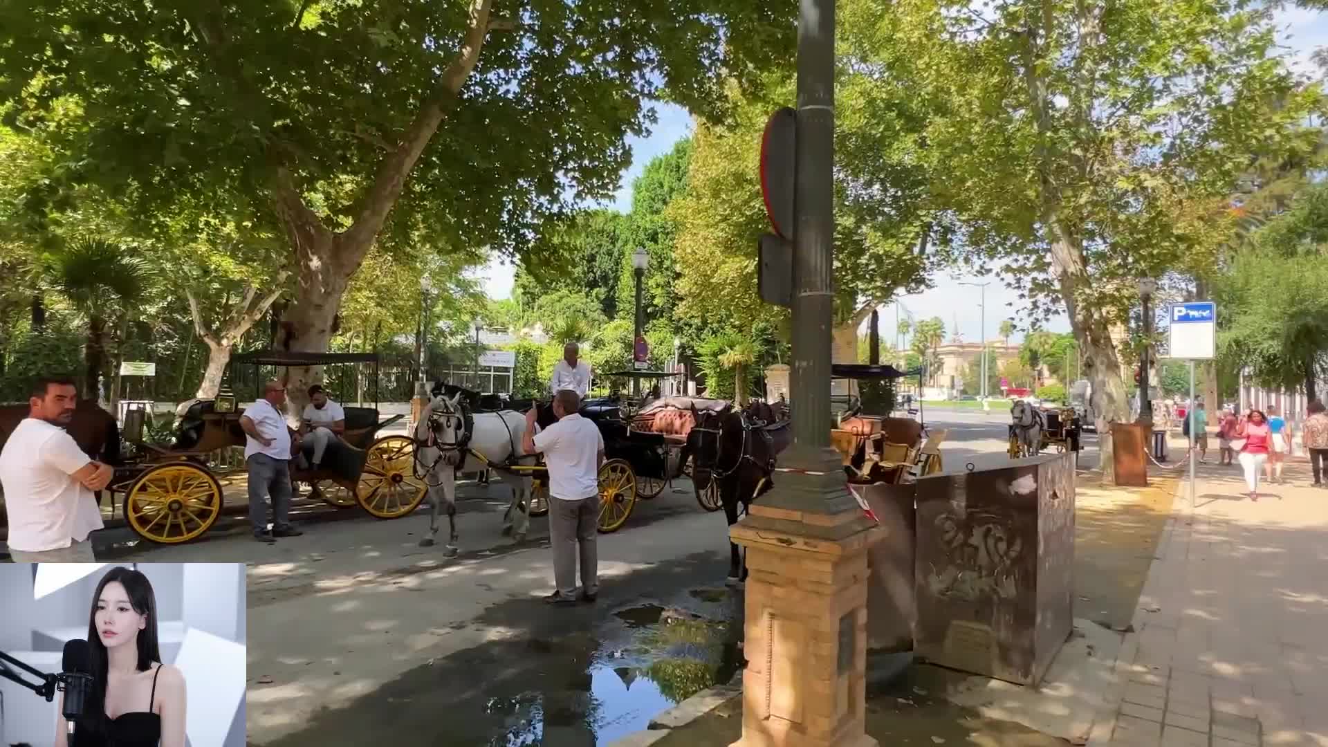 跟着镜头游世界！沉浸式逛遍欧洲古堡，仿佛穿越中世纪！