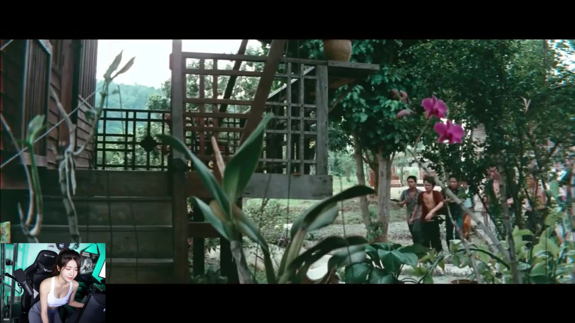 我读的书少，你不要骗我。