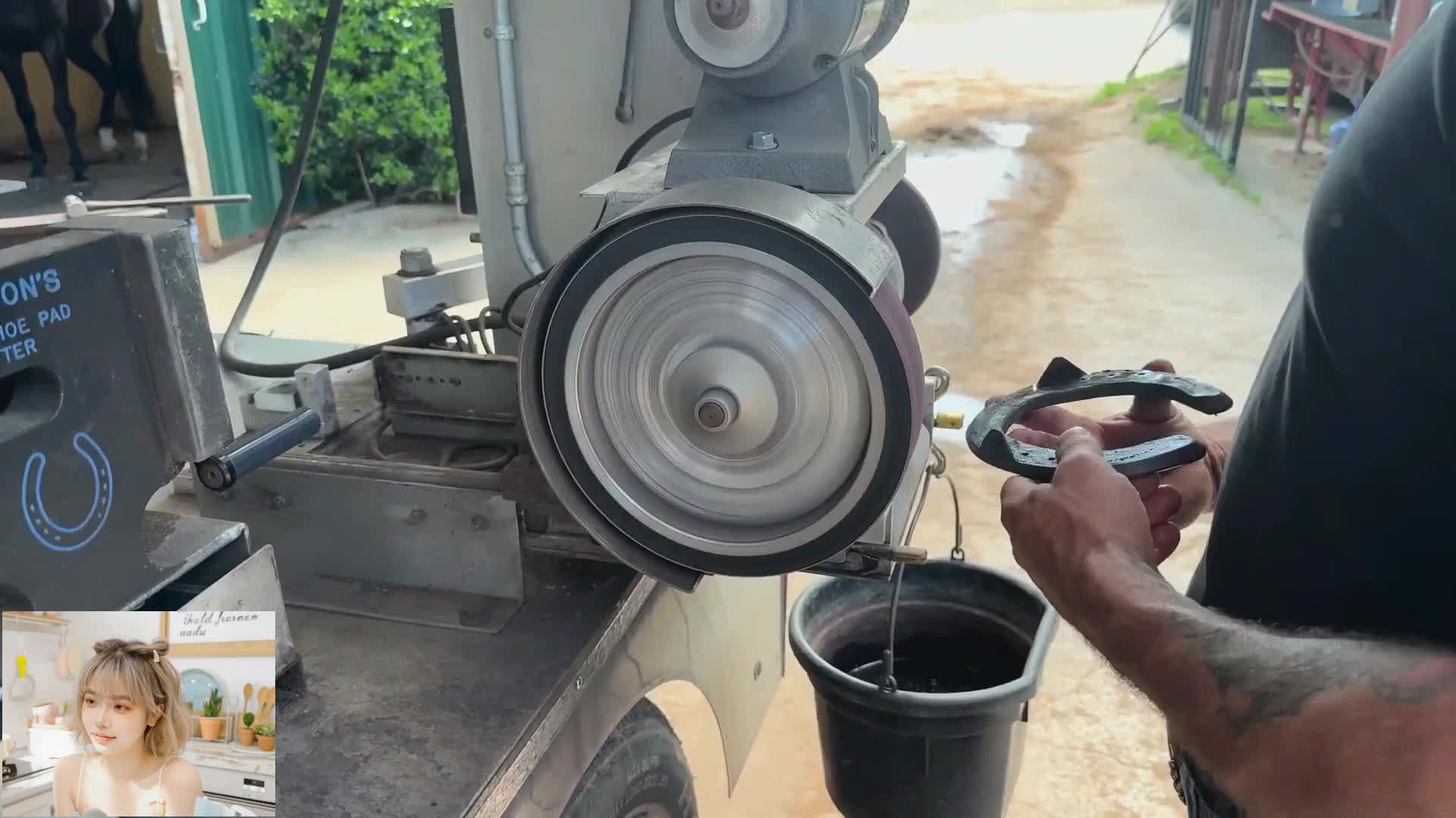 没有人会拒绝摸鱼的时候看一集修马蹄！