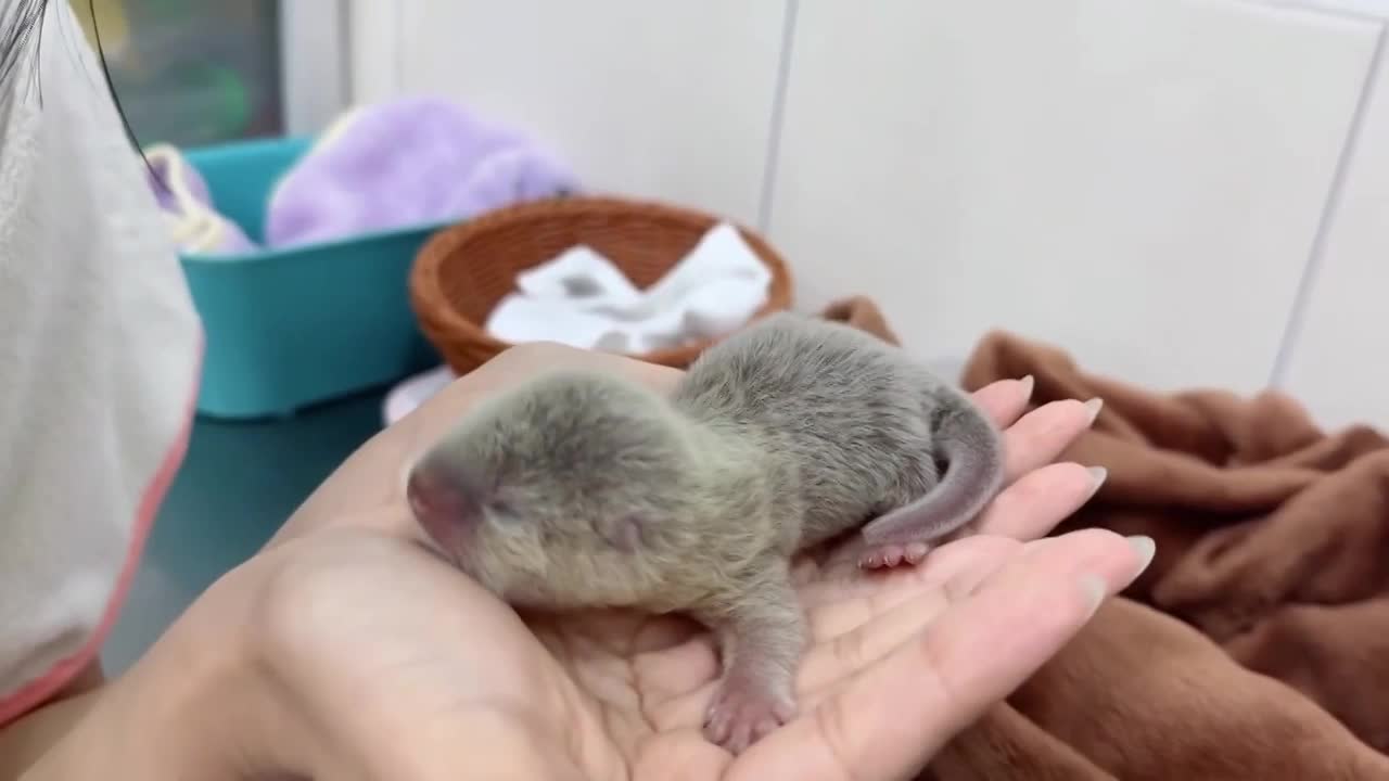 小姐姐独自生活...