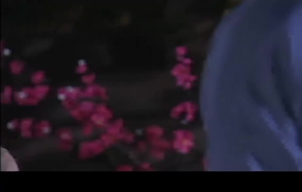 王艳的孙蝶真的好美！